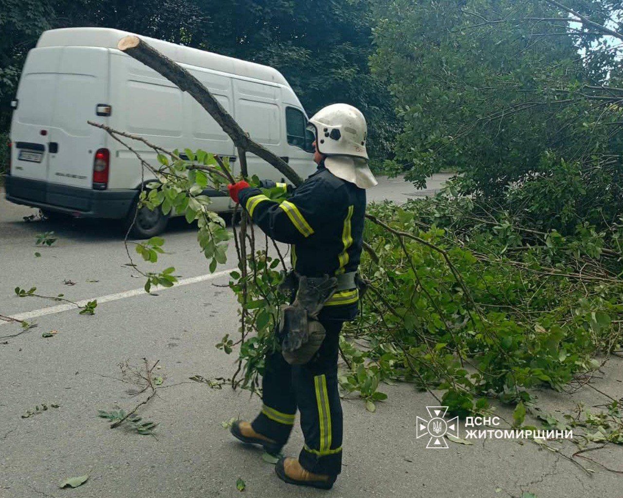 У Житомирському районі рятувальники прибрали аварійне дерево, яке впало на проїжджу частину та перекрило рух автотранспорту