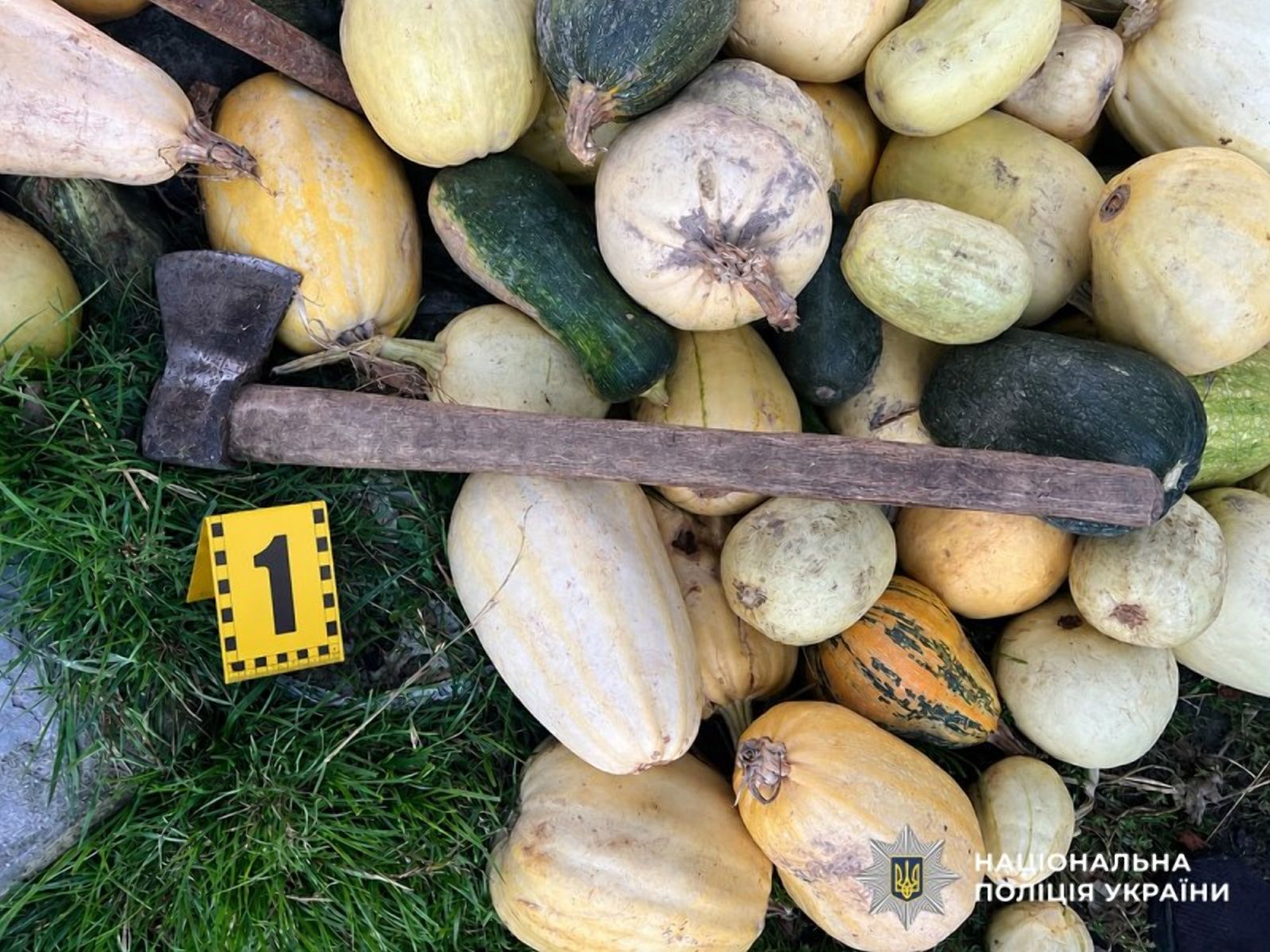 Двічі  співмешканки сокирою по голові: на Олевщині поліцейські повідомили причетному про підозру в замаху на вбивство