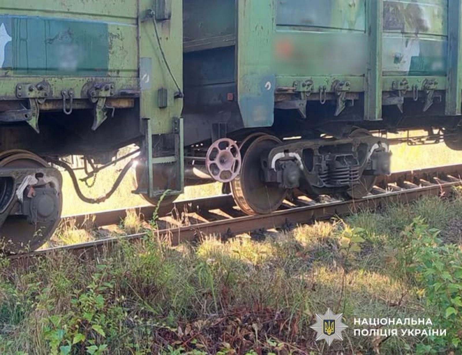 У Коростені вантажний потяг смертельно травмував 79-річну місцеву жительку
