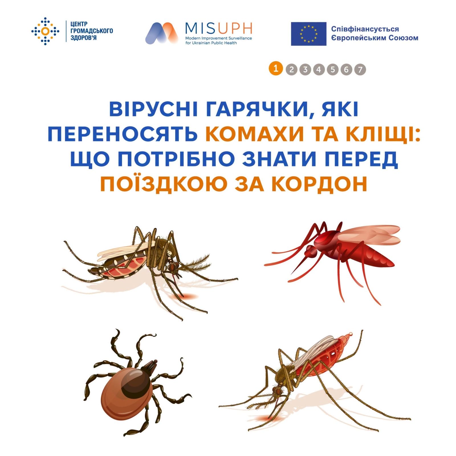 Вірусні гарячки,які переносять комахи та кліщі: що потрібно знати перед поїздкою за кордон