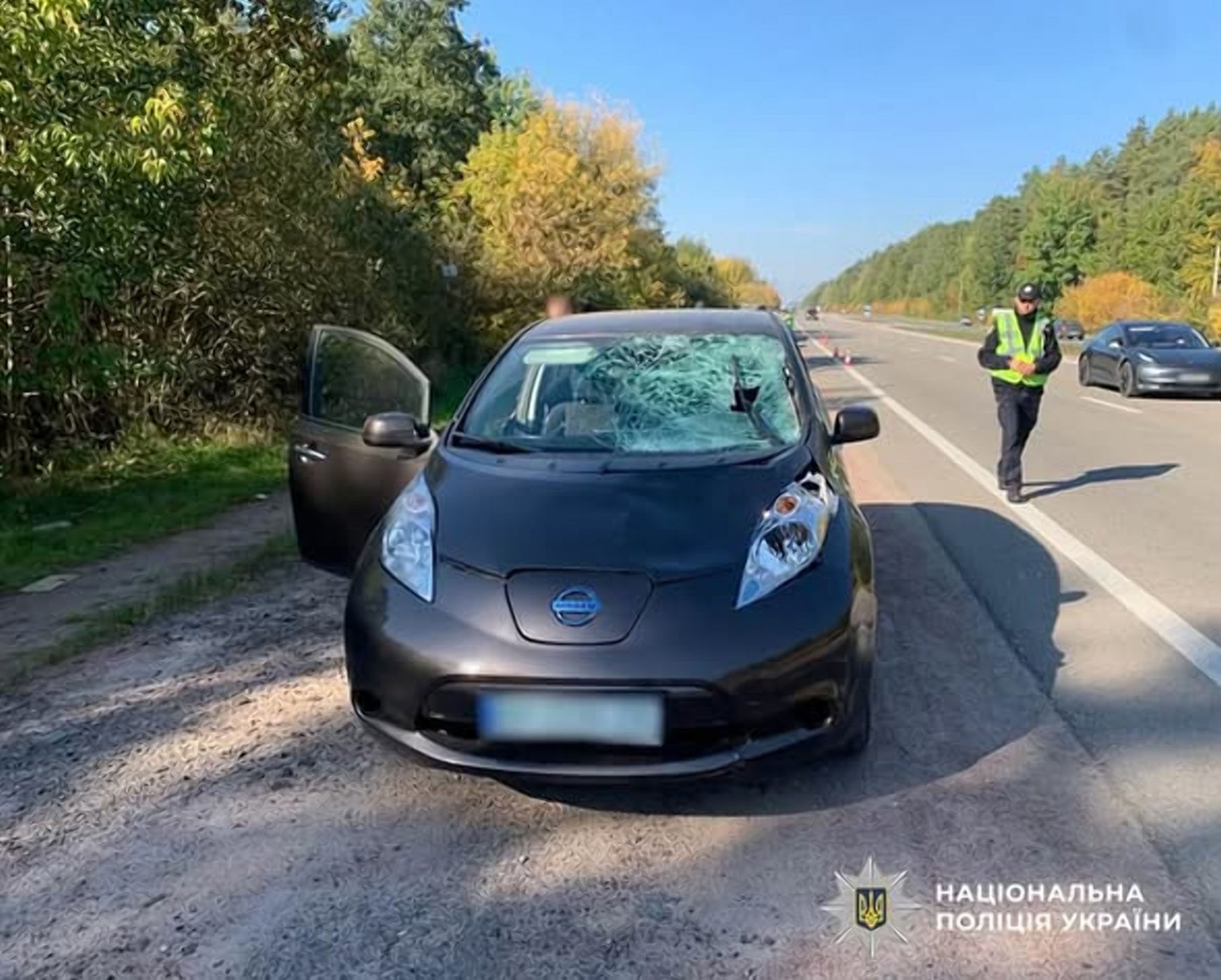 Пішохід загинув, водійка травмувалася: смертельна ДТП біля Іванівки
