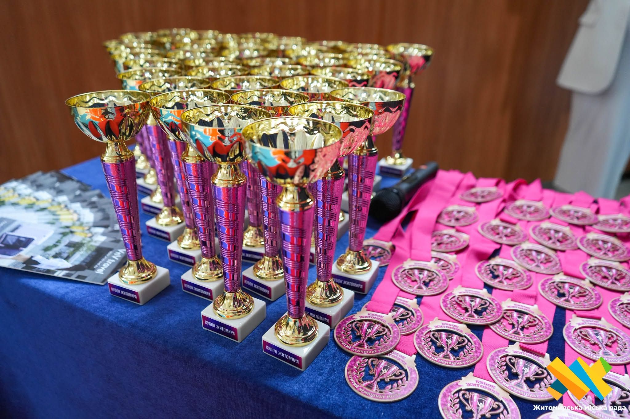 У Житомирі проходить відкритий чемпіонат міста з художньої гімнастики