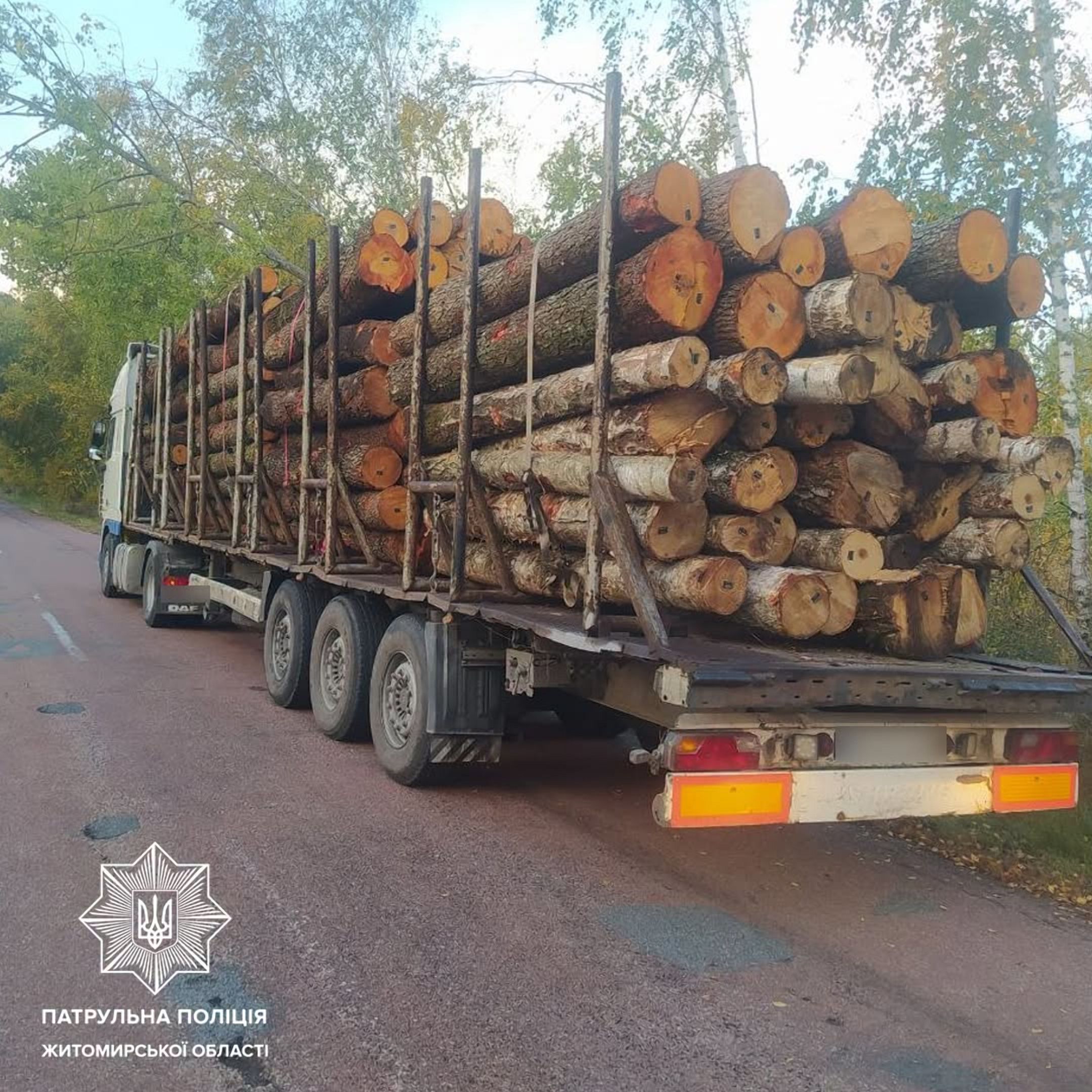 Патрульні виявили два випадки незаконного перевезення деревини