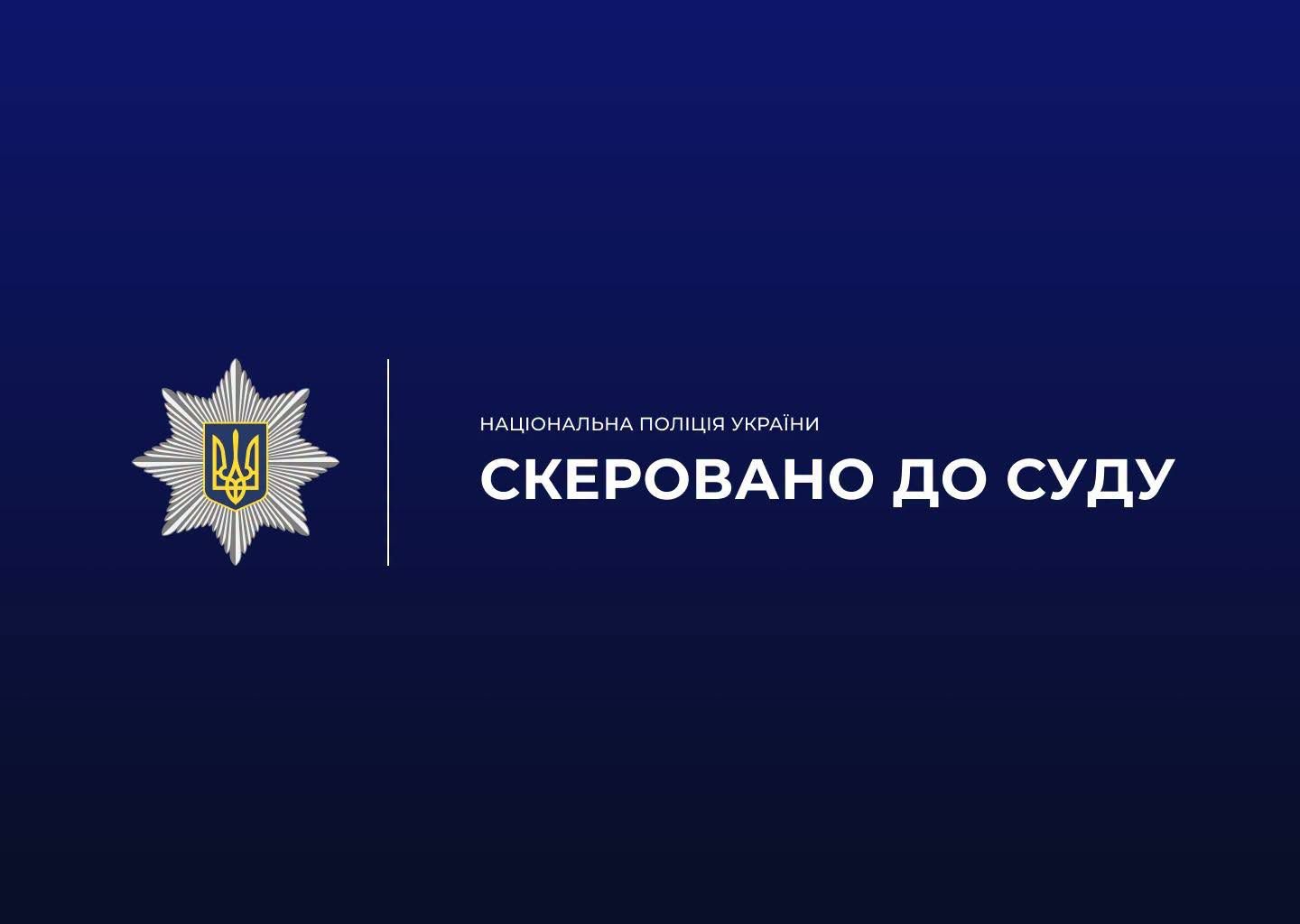 Керувала авто всупереч рішенню суду: звягельські поліцейські завершили розслідування щодо водійки